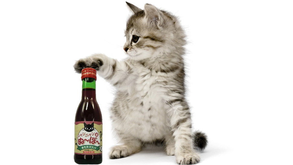 Se vende vino para gatos - Saber de Vino
