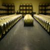 Bodegas Tábula, mimo y pasión en la Ribera del Duero Tabula