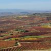 La Ruta del vino de la Rioja Alavesa, líder nacional del enoturismo rioja-alavesa
