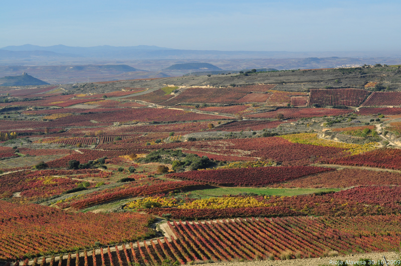 rioja-alavesa rioja-alavesa