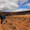 «De Blanco a Tinto» visita la Bodega Rudeles y sus viñas de 100 años Viñedos de Rudeles